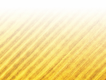 智能農機、“訂單”服務、“云端”種菜——來自江西的春耕“新事”